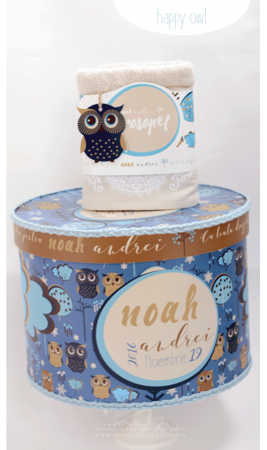 Trusou de botez cu broderie personalizata pentru baieti, Owl Baby Boy 4